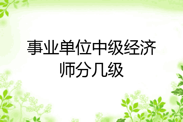 事业单位中级经济师分几级