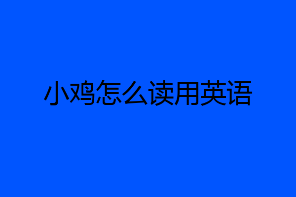 小鸡怎么读用英语