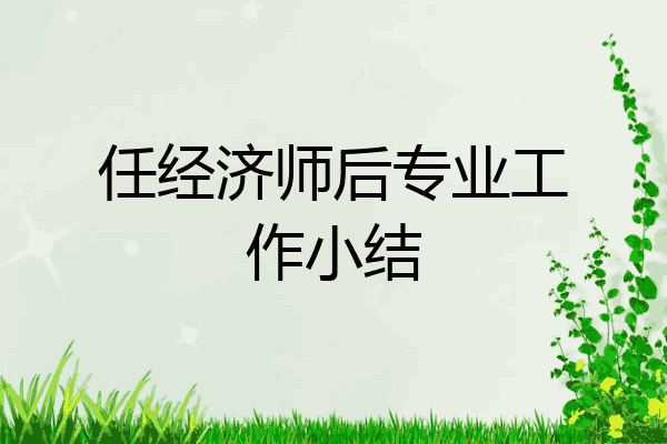 任经济师后专业工作小结