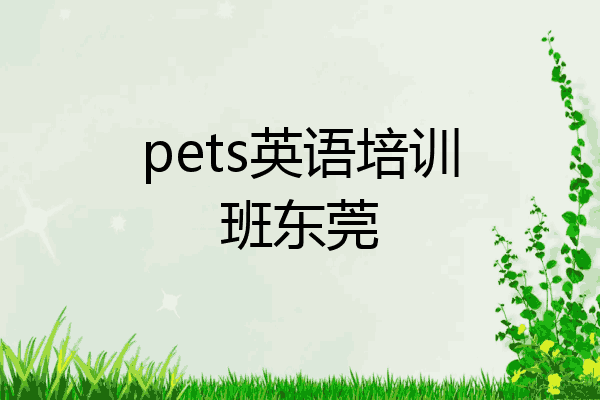 pets英语培训班东莞