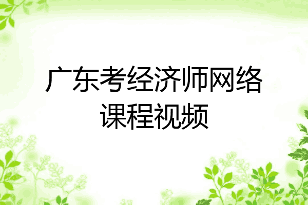广东考经济师网络课程视频