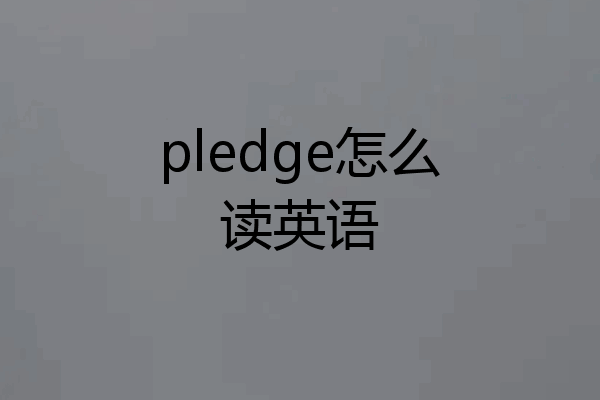 pledge怎么读英语