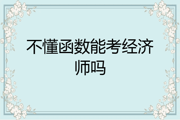 不懂函数能考经济师吗
