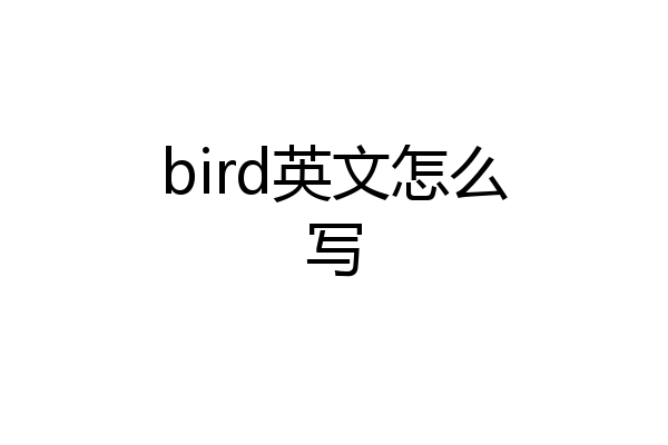 bird英文怎么写