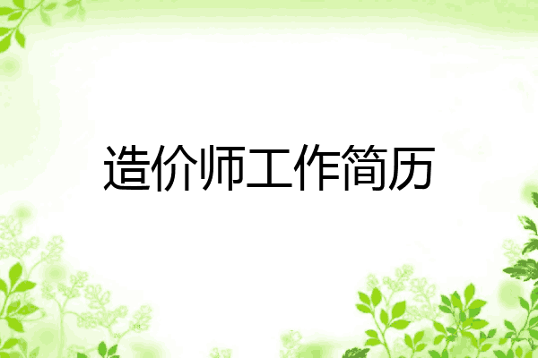 造价师工作简历