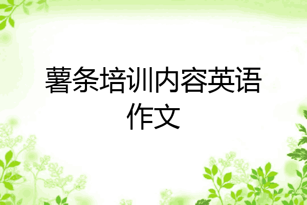 薯条培训内容英语作文
