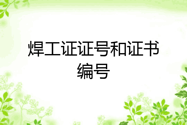 焊工证证号和证书编号