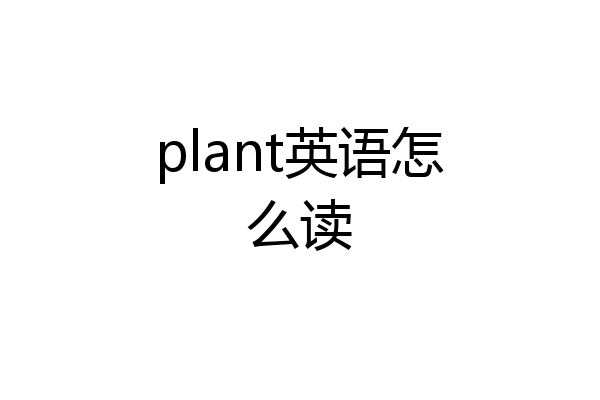 plant英语怎么读