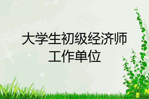大学生初级经济师工作单位