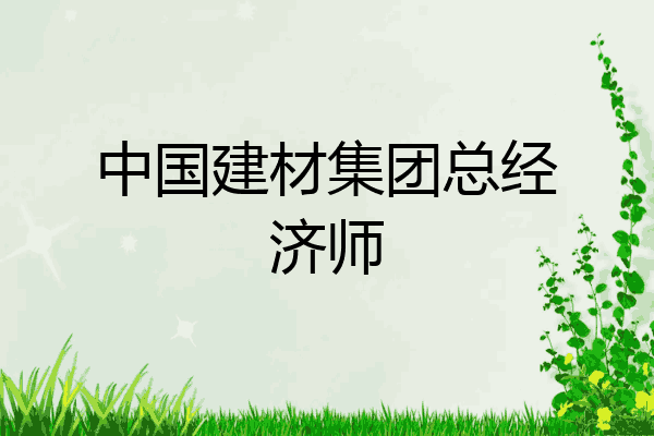 中国建材集团总经济师