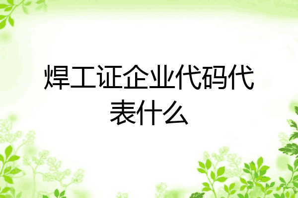 焊工证企业代码代表什么