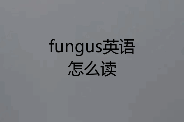 fungus英语怎么读