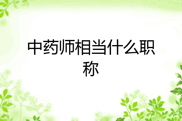 中药师相当什么职称