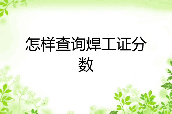 怎样查询焊工证分数