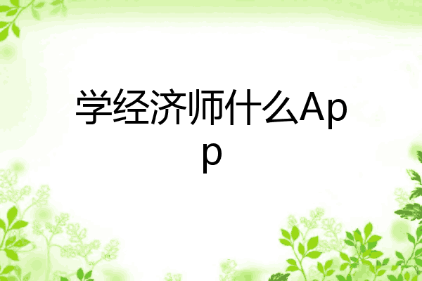 学经济师什么App