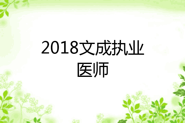 2018文成执业医师
