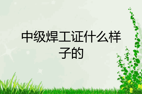 中级焊工证什么样子的