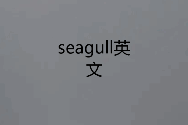 seagull英文