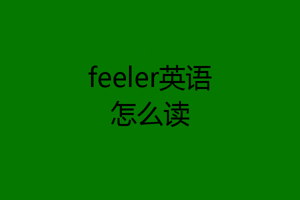 feeler英语怎么读