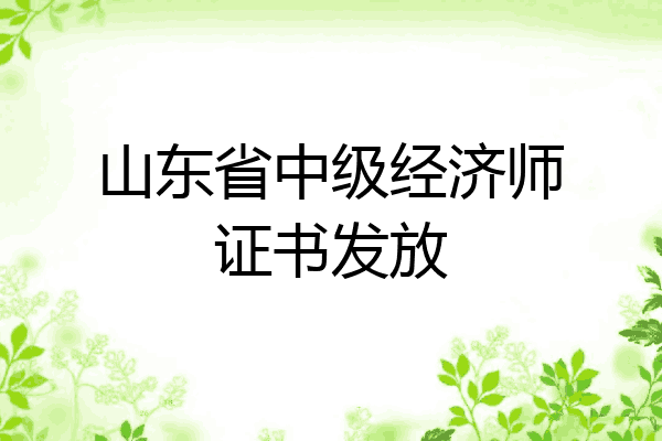 山东省中级经济师证书发放