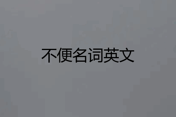 不便名词英文