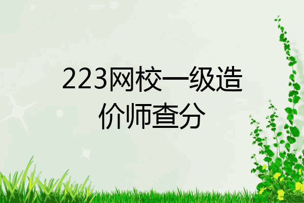 223网校一级造价师查分