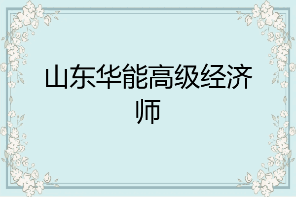 山东华能高级经济师