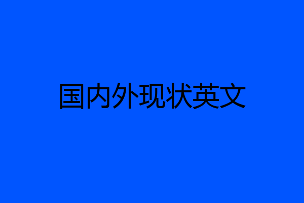 国内外现状英文