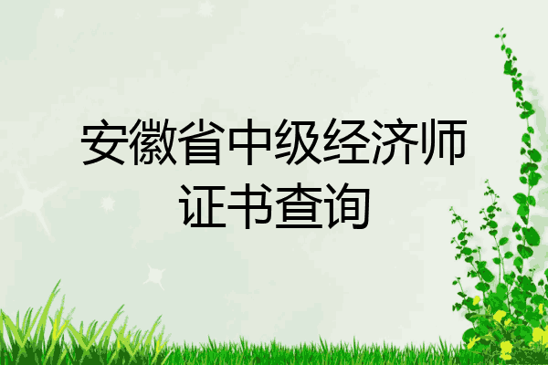 安徽省中级经济师证书查询