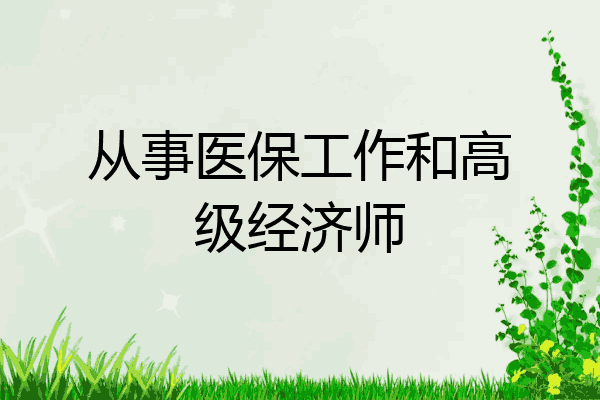 从事医保工作和高级经济师