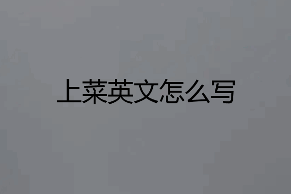 上菜英文怎么写
