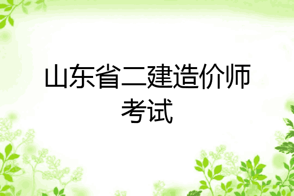 山东省二建造价师考试