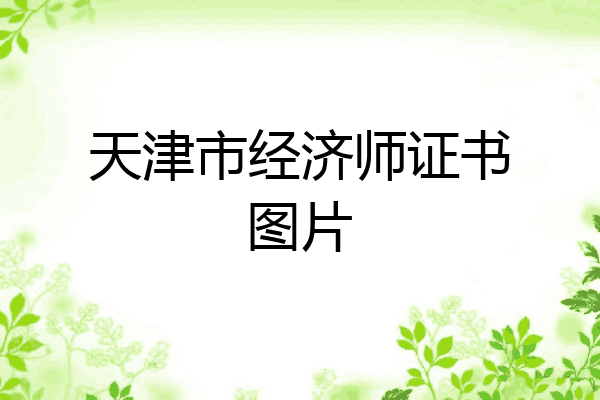 天津市经济师证书图片
