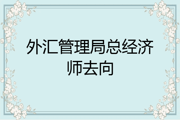 外汇管理局总经济师去向