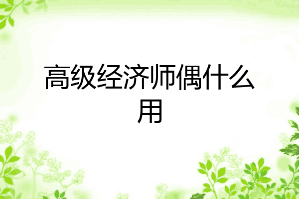高级经济师偶什么用