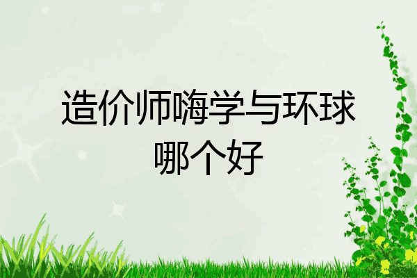 造价师嗨学与环球哪个好