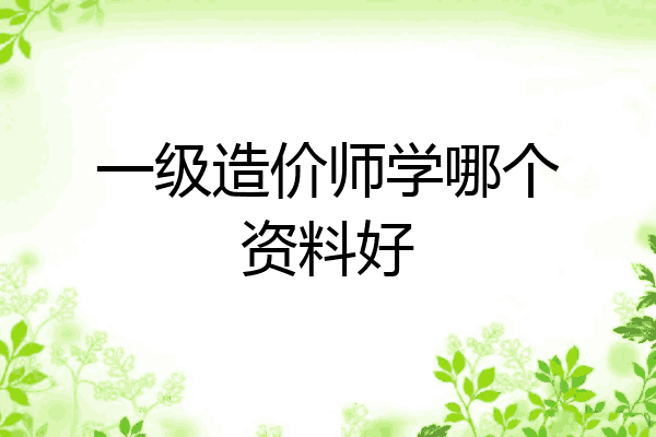 一级造价师学哪个资料好