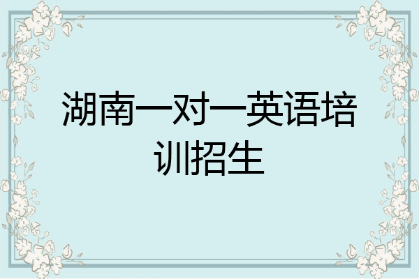 湖南一对一英语培训招生