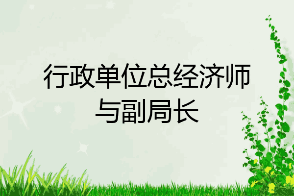 行政单位总经济师与副局长