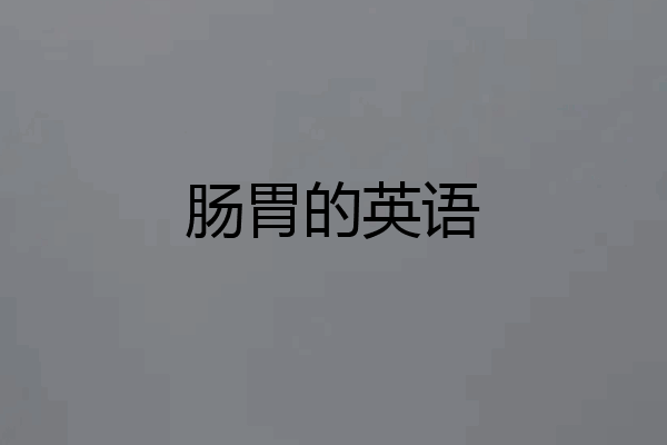 肠胃的英语