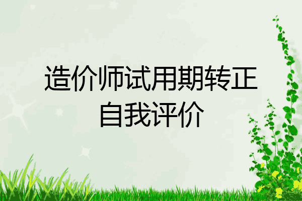 造价师试用期转正自我评价
