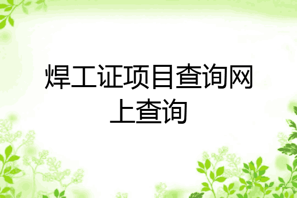 焊工证项目查询网上查询