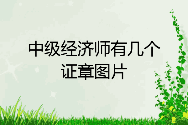 中级经济师有几个证章图片