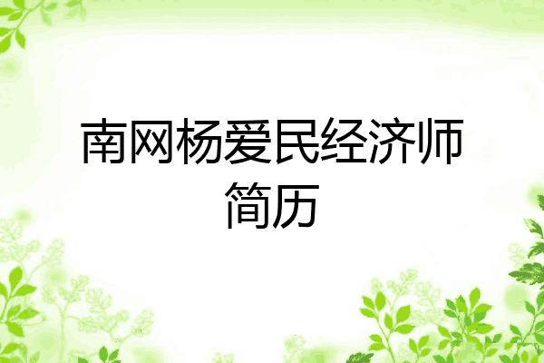 南网杨爱民经济师简历