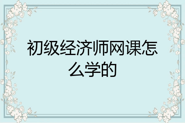 初级经济师网课怎么学的