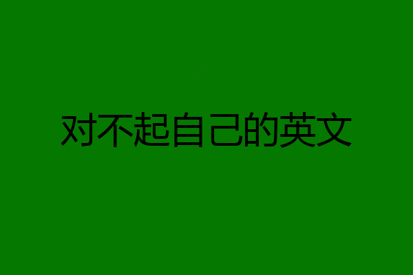 对不起自己的英文
