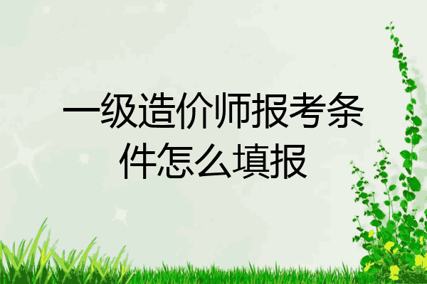 一级造价师报考条件怎么填报