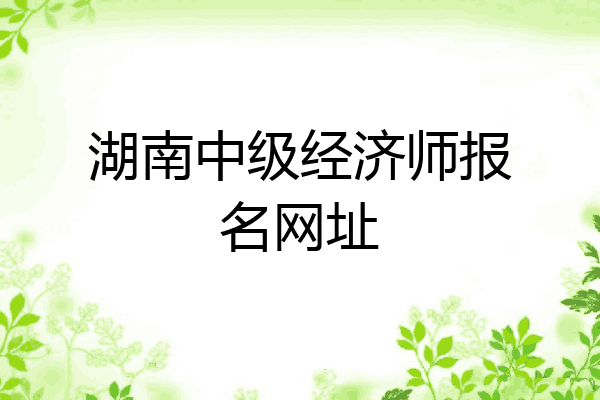 湖南中级经济师报名网址