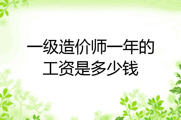 一级造价师一年的工资是多少钱