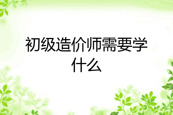 初级造价师需要学什么